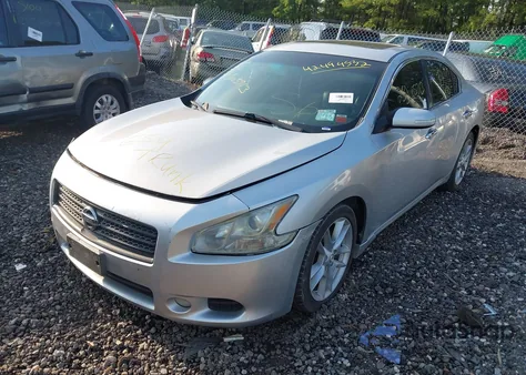 2011 Nissan Maxima 3.5 Sv z USA, uszkodzony, nr VIN 1N4AA5AP8BC812129